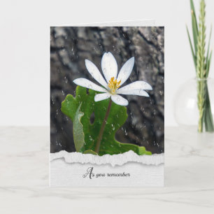 White Wilflower Raindrops sympathie card Kaart