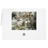 White Wisteria Blossom Kaart (Achterkant Horizontaal)