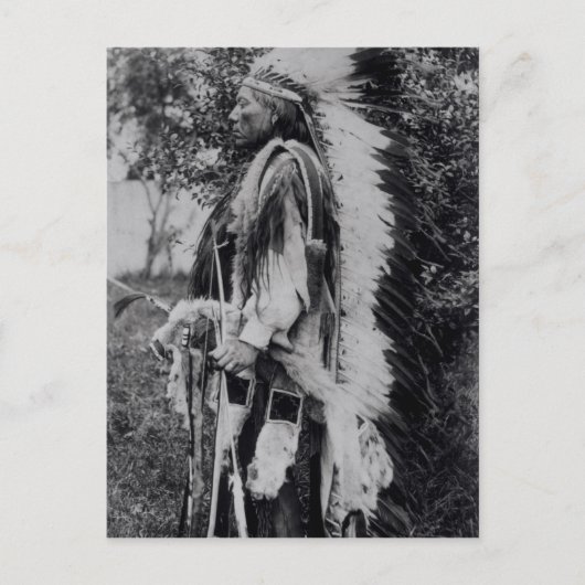 White Wolf, a Comanche Chief, c.1891-98 Briefkaart (Voorkant)