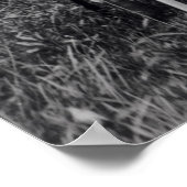 White Wolf, a Comanche Chief, c.1891-98 Poster (Hoek)