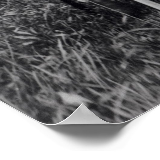 White Wolf, a Comanche Chief, c.1891-98 Poster (Hoek)