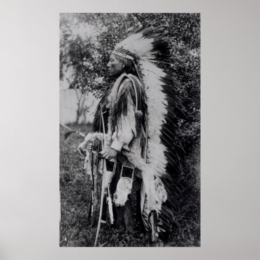White Wolf, a Comanche Chief, c.1891-98 Poster (Voorkant)