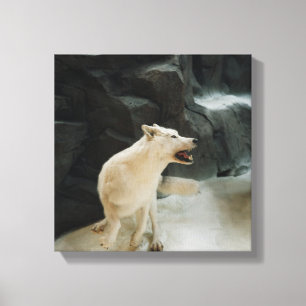 White Wolf Canvas Afdruk