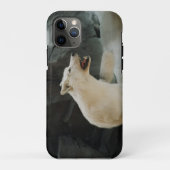 White Wolf Case-Mate iPhone Case (Achterkant)