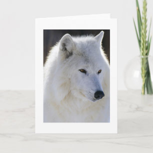 White Wolf Kaart