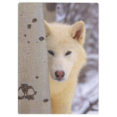 White Wolf Klembord (Achterkant)