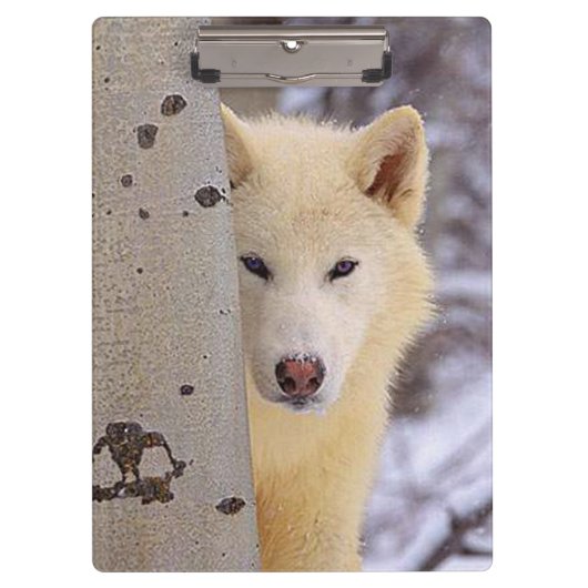 White Wolf Klembord (Voorkant)