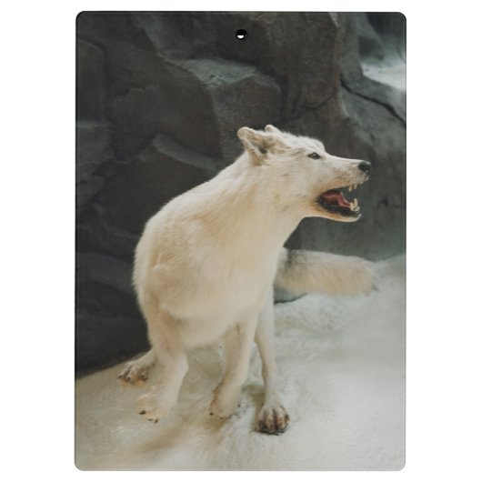 White Wolf Klembord (Achterkant)