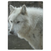 White Wolf Klembord (Achterkant)