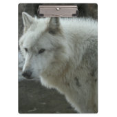 White Wolf Klembord (Voorkant)
