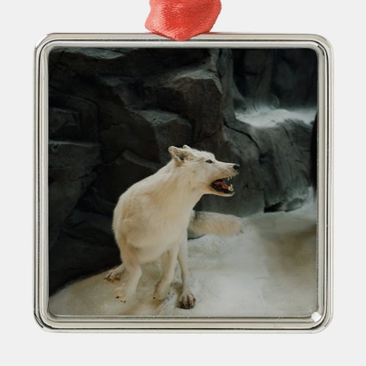 White Wolf Metalen Ornament (Voorkant)