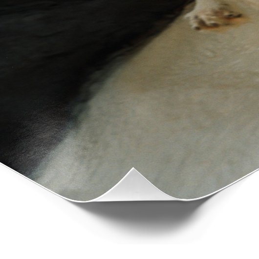 White Wolf Perfect Poster (Hoek)