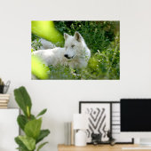 White Wolf Poster (Thuiskantoor)