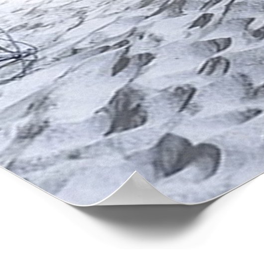 White Wolf Poster (Hoek)