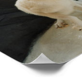 White Wolf Poster (Hoek)