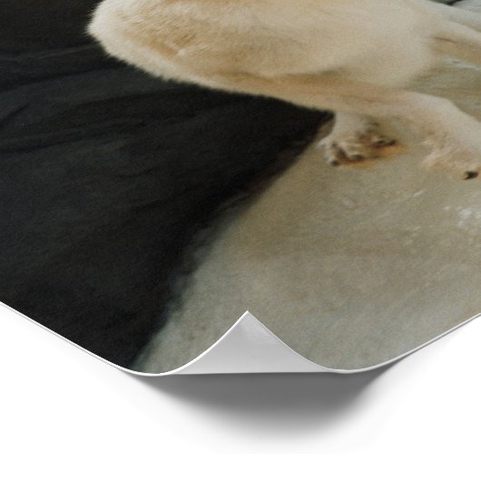 White Wolf Poster (Hoek)