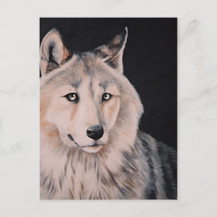 White Wolf schilderij van DiDi Briefkaart