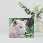 White Wolf Sluiten Profiel Briefkaart (Staand voorkant)