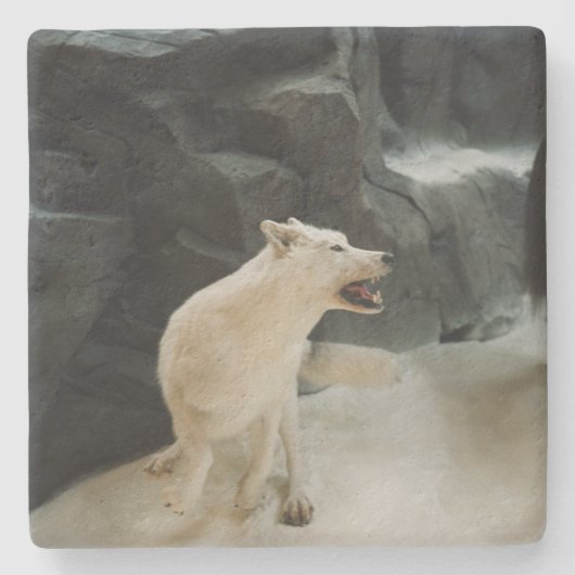 White Wolf Stenen Onderzetter (Voorkant)