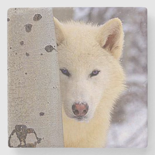White Wolf Stenen Onderzetter (Voorkant)