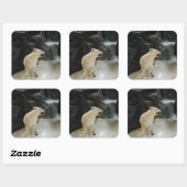 White Wolf Vierkante Sticker (Vel)