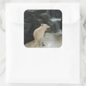 White Wolf Vierkante Sticker (Tas)