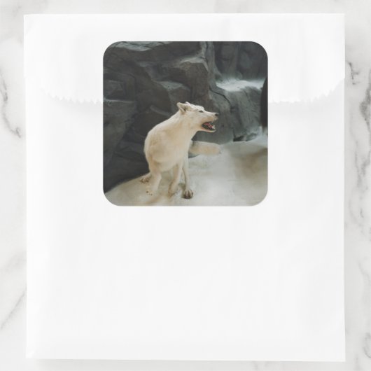 White Wolf Vierkante Sticker (Tas)