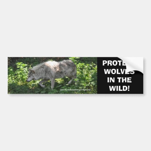 WHITE WOLF Wildlife Conservation Bumpersticker (Voorkant)