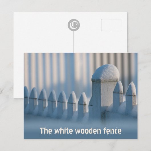White wooden fence CC0684 Winter Sun Postcard Briefkaart (Voorkant / Achterkant)