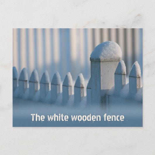 White wooden fence CC0684 Winter Sun Postcard Briefkaart (Voorkant)