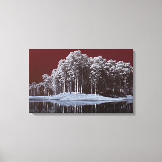 White Woods Canvas Print (Voorkant)