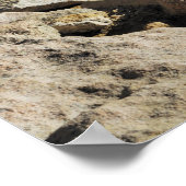 White Wool Rocky Mountain Goat staat bovenop Poster (Hoek)