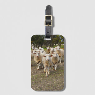 White Wooly Sheep Herd Bagagelabel