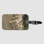 White Wooly Sheep Herd Bagagelabel (Voorkant (horizontaal))