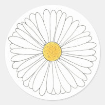 White Yellow Daisy Blossom Flower Garden Spring