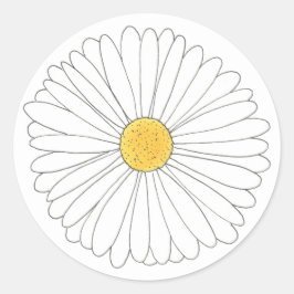 White Yellow Daisy Blossom Flower Garden Spring Ronde Sticker