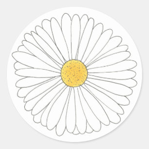 White Yellow Daisy Blossom Flower Garden Spring Ronde Sticker