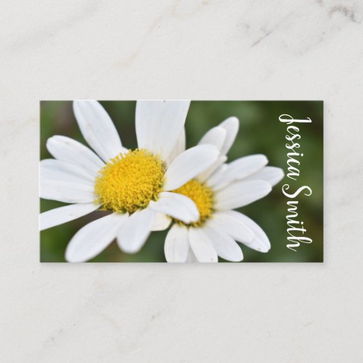 White Yellow Daisy Flower Daisies Natuur Foto Visitekaartje (Voorkant)