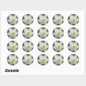 White & Yellow Narcissus Note Card Ronde Sticker (Vel)
