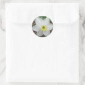 White & Yellow Narcissus Note Card Ronde Sticker (Tas)