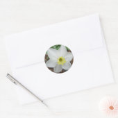 White & Yellow Narcissus Note Card Ronde Sticker (Envelop)