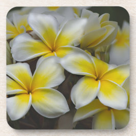 White Yellow Plumeria Bier Onderzetter