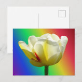 White Yellow Tulip Sluiten regenboogkleurig Briefk Briefkaart (Voorkant / Achterkant)