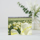 White Yellow Tulips Field Happy Spring Briefkaart (Staand voorkant)