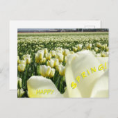 White Yellow Tulips Field Happy Spring Briefkaart (Voorkant / Achterkant)
