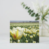 White Yellow Tulips Landscape DIY Briefkaart (Staand voorkant)