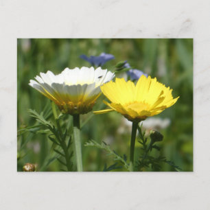 White & Yellow Wildflower DIY Briefkaart