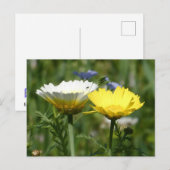 White & Yellow Wildflower DIY Briefkaart (Voorkant / Achterkant)
