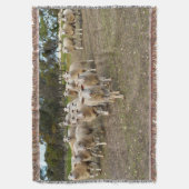 White Young Wooly Sheep Deken (Voorkant Verticaal)