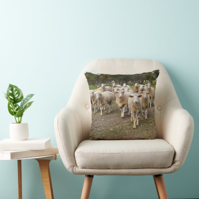 White Young Wooly Sheep Kussen (Stoel)